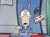 rockos modern life nicksplat GIF