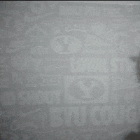 Celebration Byu Baseball GIF by BYU Cougars