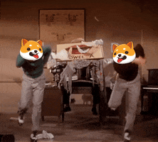 Fun Crypto GIF by Baby Doge Coin