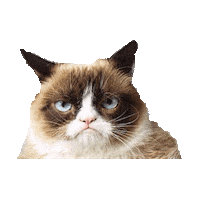 grumpy cat STICKER by imoji