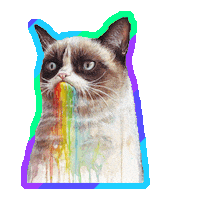 grumpy cat rainbow STICKER by imoji