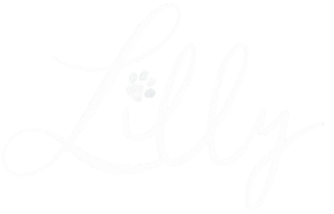 Cat Dog Sticker