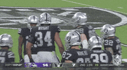 Las Vegas Raiders Football GIF by NFL
