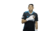 Los Angeles Football Sticker by LA Galaxy