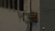 excited season 2 GIF by DREAM CORP LLC