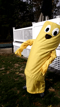 windsock GIF by America's Funniest Home Videos