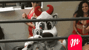 Rocco GIF by DiablosRojosMX