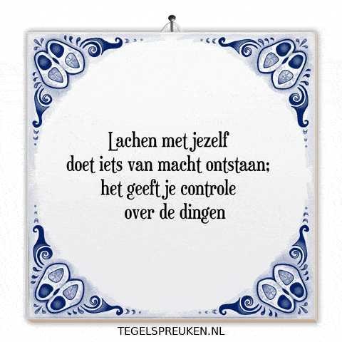 Humor Nl GIF by Tegelspreuken.nl