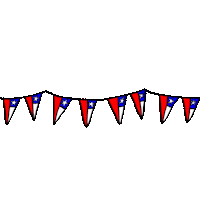 Chile Bandera Sticker by RainToMe