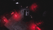 BonsaiCollective video games red eyes warden black and red GIF