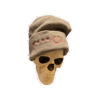 Gowanus Canal Skull Sticker by Gowanus Dredgers Canoe Club