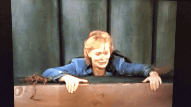 SidPage giphygifmaker giphygifmakermobile GIF