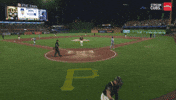 Chicago Cubs Baseball GIF