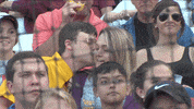 awkward the office GIF by Kane County Cougars