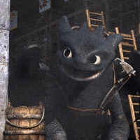 How To Train Your Dragon Television GIF by Universal Kids