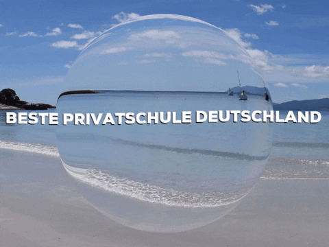 Fun Party GIF by PrivatschulenPORTAL.de