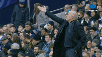Spurs Tottenham GIF by MolaTV