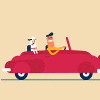 Animaak happy dog car weekend GIF