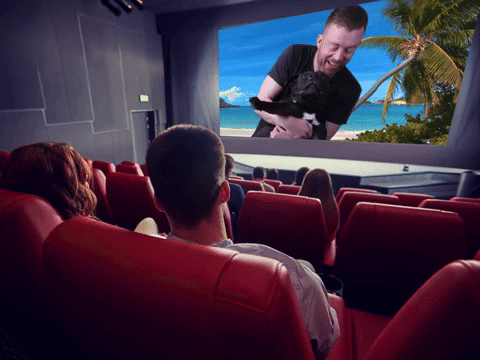 The Cinema