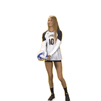umbc volleyball Sticker