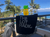thelotradio hawaii brooklyn pineapple dolphin GIF