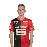 Rouge Et Noir Football Sticker by Stade Rennais F.C.