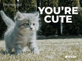 Kitten Youre Cute GIF by TINDER