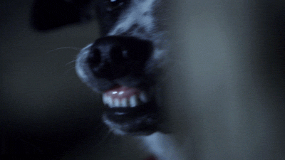 angry paranormal witness GIF by SYFY