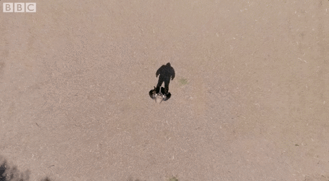 bbc two drone GIF by BBC