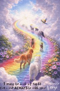Pray In Loving Memory GIF