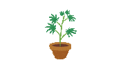 Plant Sticker by SandraFencl