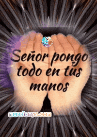 Mi Vida Amigos GIF by Murcianys LLC