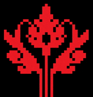 simonamoon dobrogea GIF