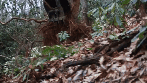 Operator Excavator GIF by JC Property Professionals