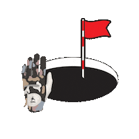 kepelgolf golf tour birdie golf ball Sticker