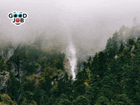 Reinigung-Dienstleistung Mehr-Als-100000-Eur GIF by FranchiseONE.de