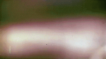 Girl Floating GIF