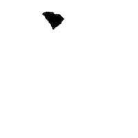 Move-In South Carolina Sticker by University of South Carolina