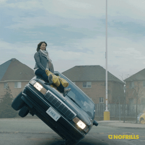 riding dirty like a boss GIF by No Frills