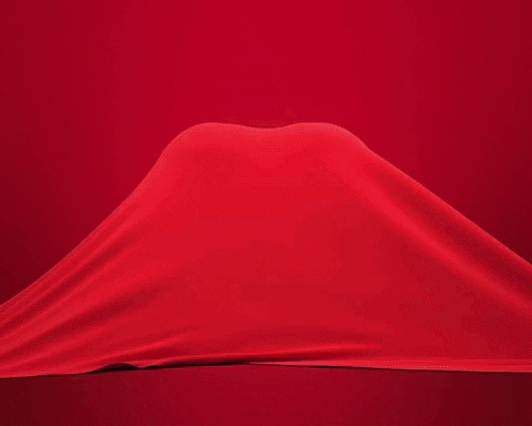 Valentines Day Love GIF by We Set The Standards