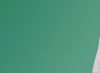 Seattle_Friends sparkdigital GIF