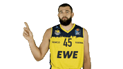 Ewe Baskets Basketball Sticker by EWE Baskets Oldenburg