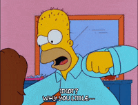 homer simpson GIF