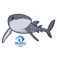 Polvo Mar Sticker by Universidade do Vale do Itajaí - Univali