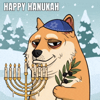 Jewish Hanukkah GIF by Doge Pound