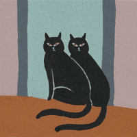 Animation Cats GIF