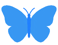 Blue Butterfly Fly Sticker by Bel Diniz