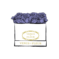 Valentines Day Love Sticker by Venus ET Fleur
