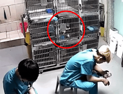 ozumbo giphyupload GIF