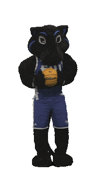 Eastern Illinois University Basketball Sticker by EIU